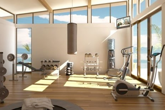 DISEÑO DE GIMNASIOS PARA CASAS
